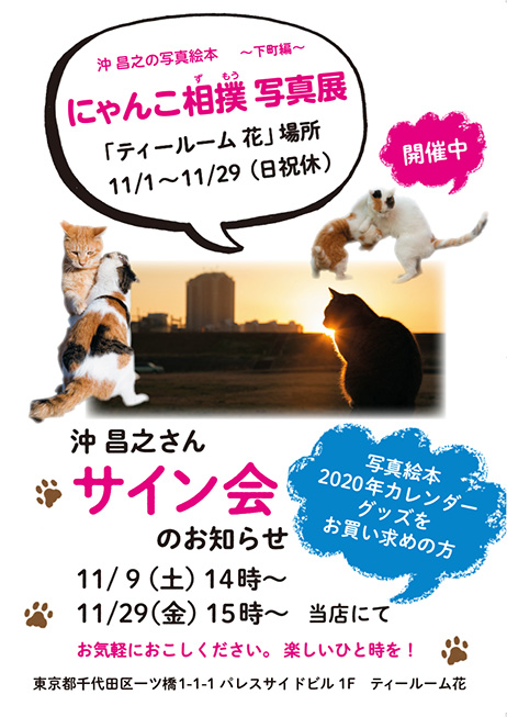 「にゃんこ相撲」写真展を11/1(金)～11/29(金)に開催しています！