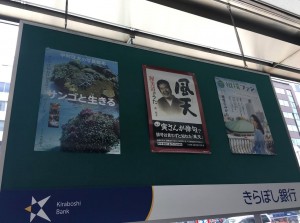 きらぼし銀行神田中央支店で、大空出版の書籍を展示中！！（～6月30日まで）